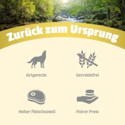 Natural Probe-Paket Hund Nassfutter 6 x 800 g
