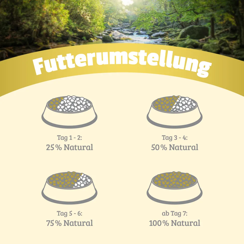Natural Rind mit Pastinake & Leinöl Nassfutter 6 x 800 g