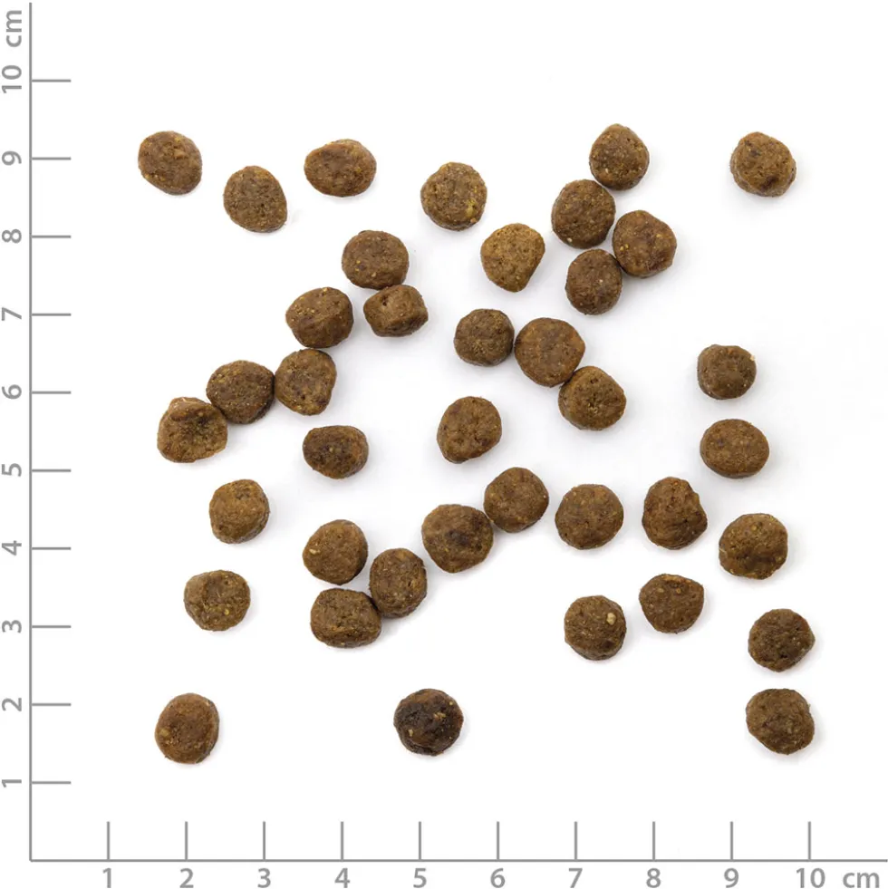 Wildes Land Classic Kitten Huhn Trockenfutter 400 g