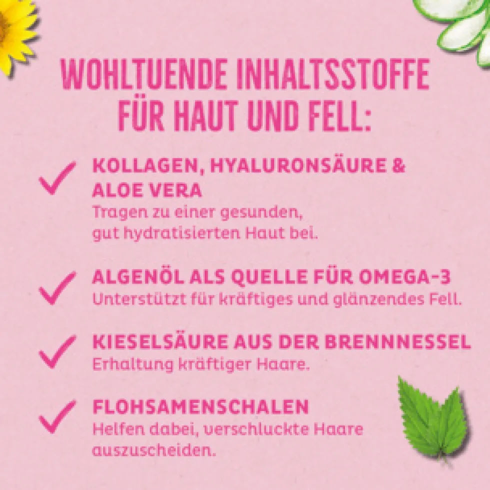 Wildes Land 2in1 Rolls mit Benefit Beauty - Für Haut & Fell Snack 8 x 90 g