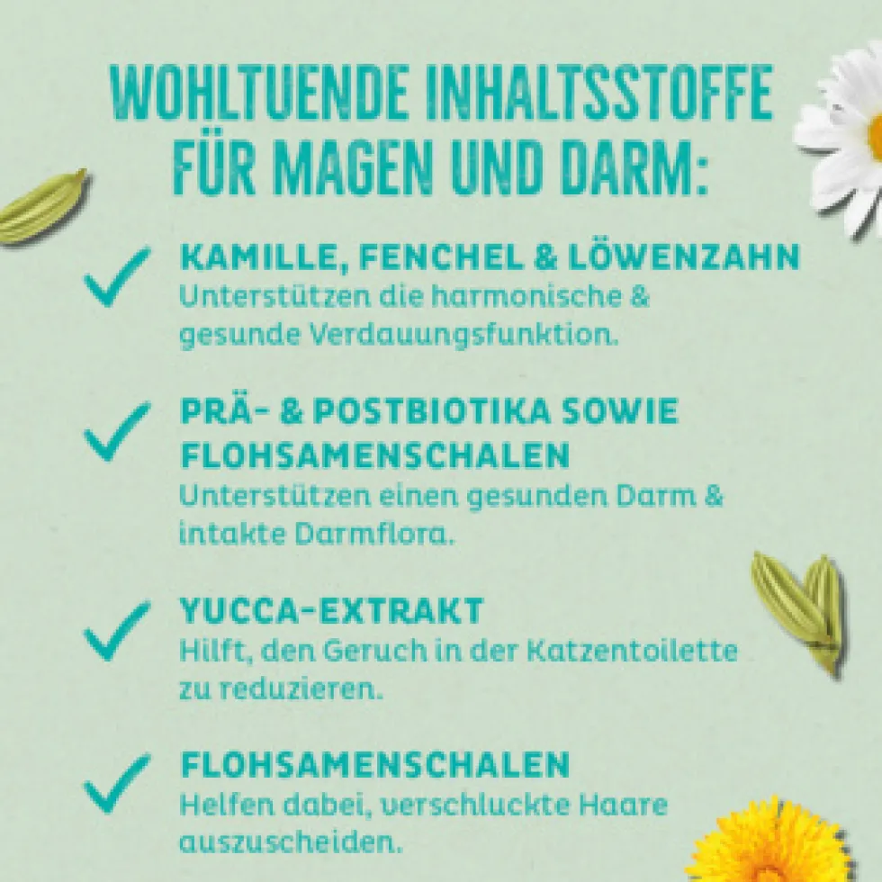 Wildes Land 2in1 Rolls mit Benefit Belly - Für Magen & Verdauung Snack 8 x 90 g
