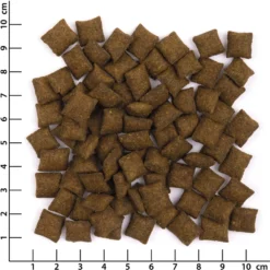 Wildes Land Knabberkissen Huhn und Lachs Snack 12 x 50 g