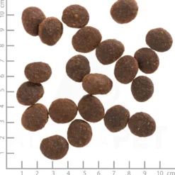 Wolfsblut Adult Black Marsh Trockenfutter 12,5 kg