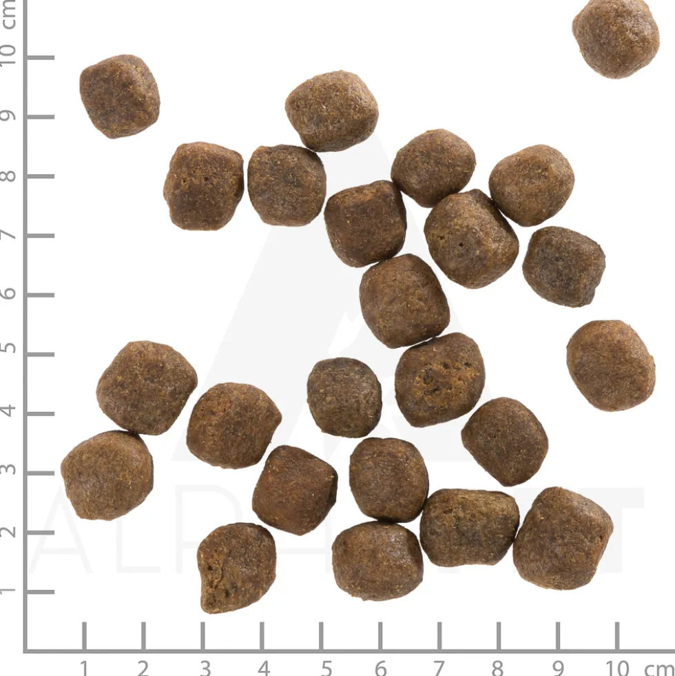 Wolfsblut Adult Cold River Trockenfutter 12,5 kg