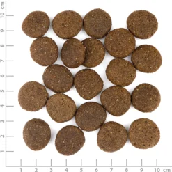 Wolfsblut Large Breed Range Lamb Trockenfutter 12,5 kg