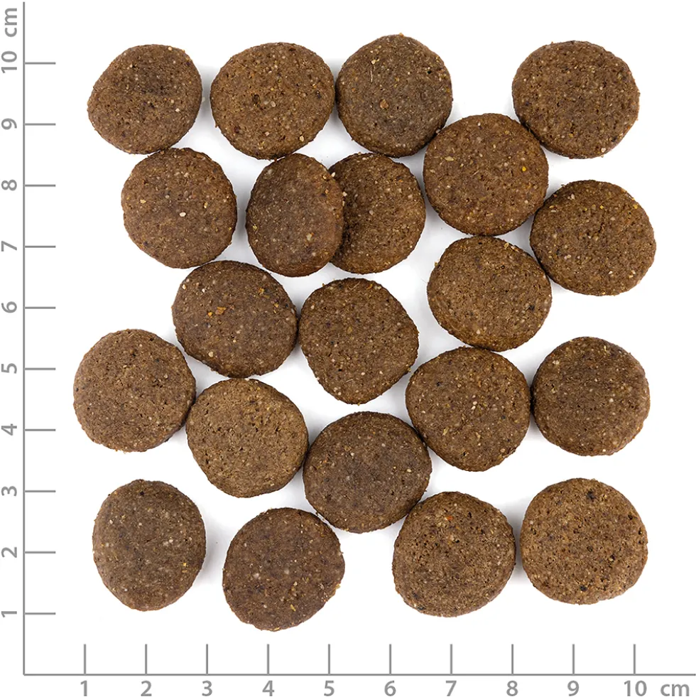 Wolfsblut Large Breed Range Lamb Trockenfutter 12,5 kg