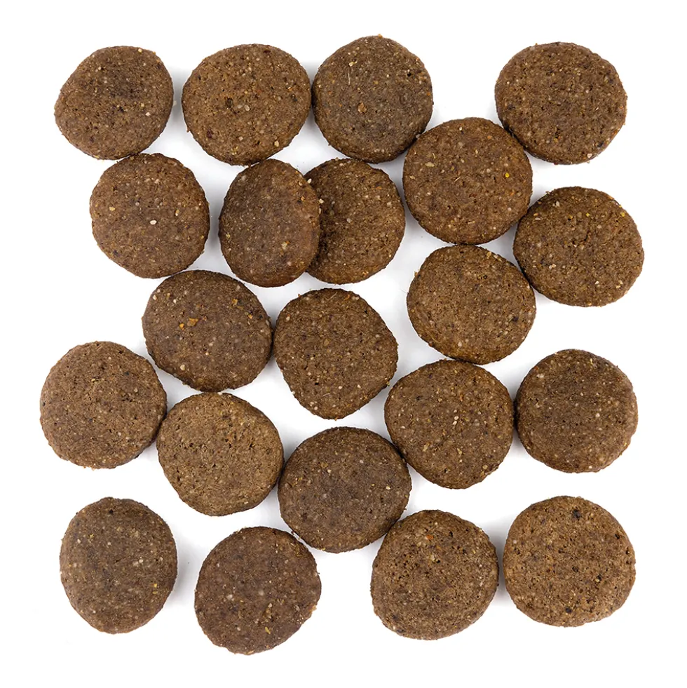 Wolfsblut Large Breed Range Lamb Trockenfutter 12,5 kg