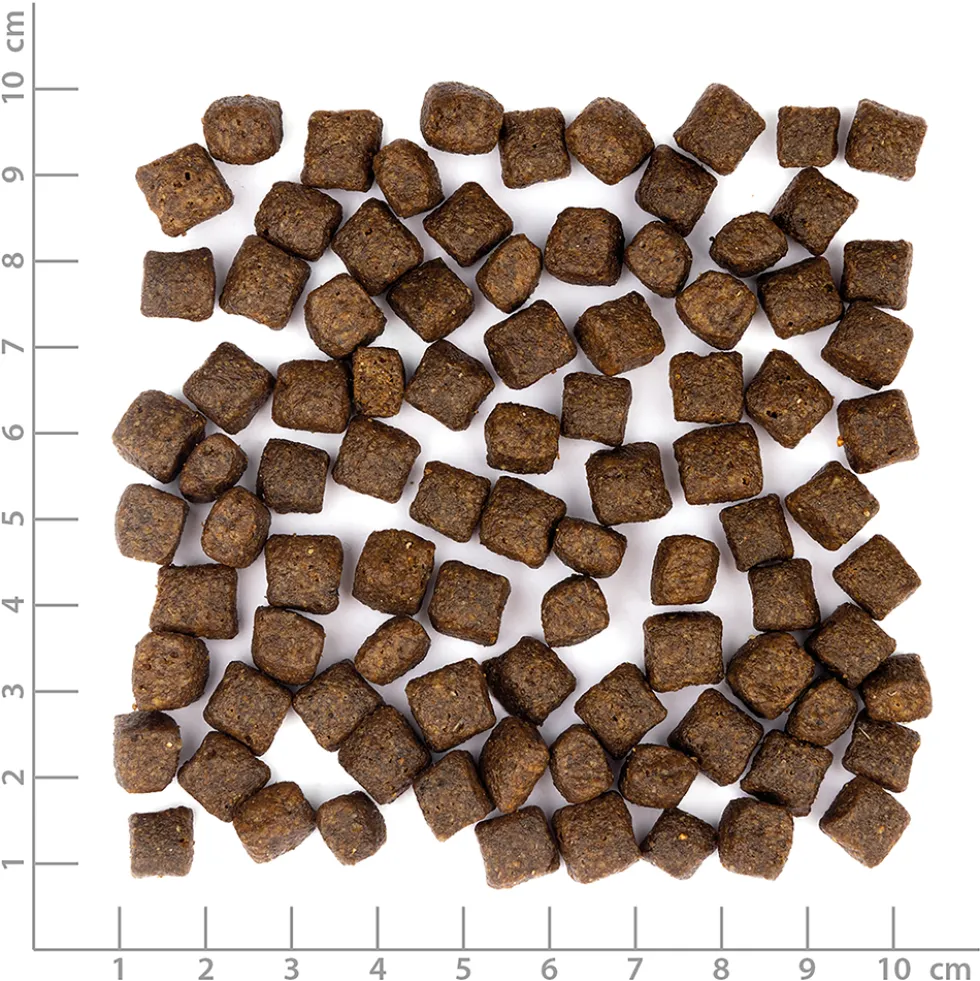 Wolfsblut Limited Ingredients Puppy Wild Duck Trockenfutter 1 kg