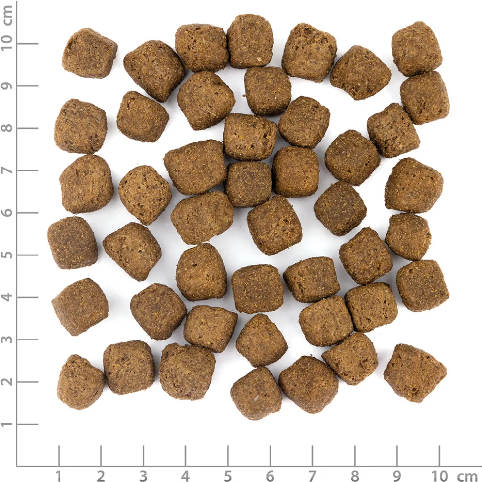 Wolfsblut Limited Ingredients Adult Dark Forest Trockenfutter 9 kg