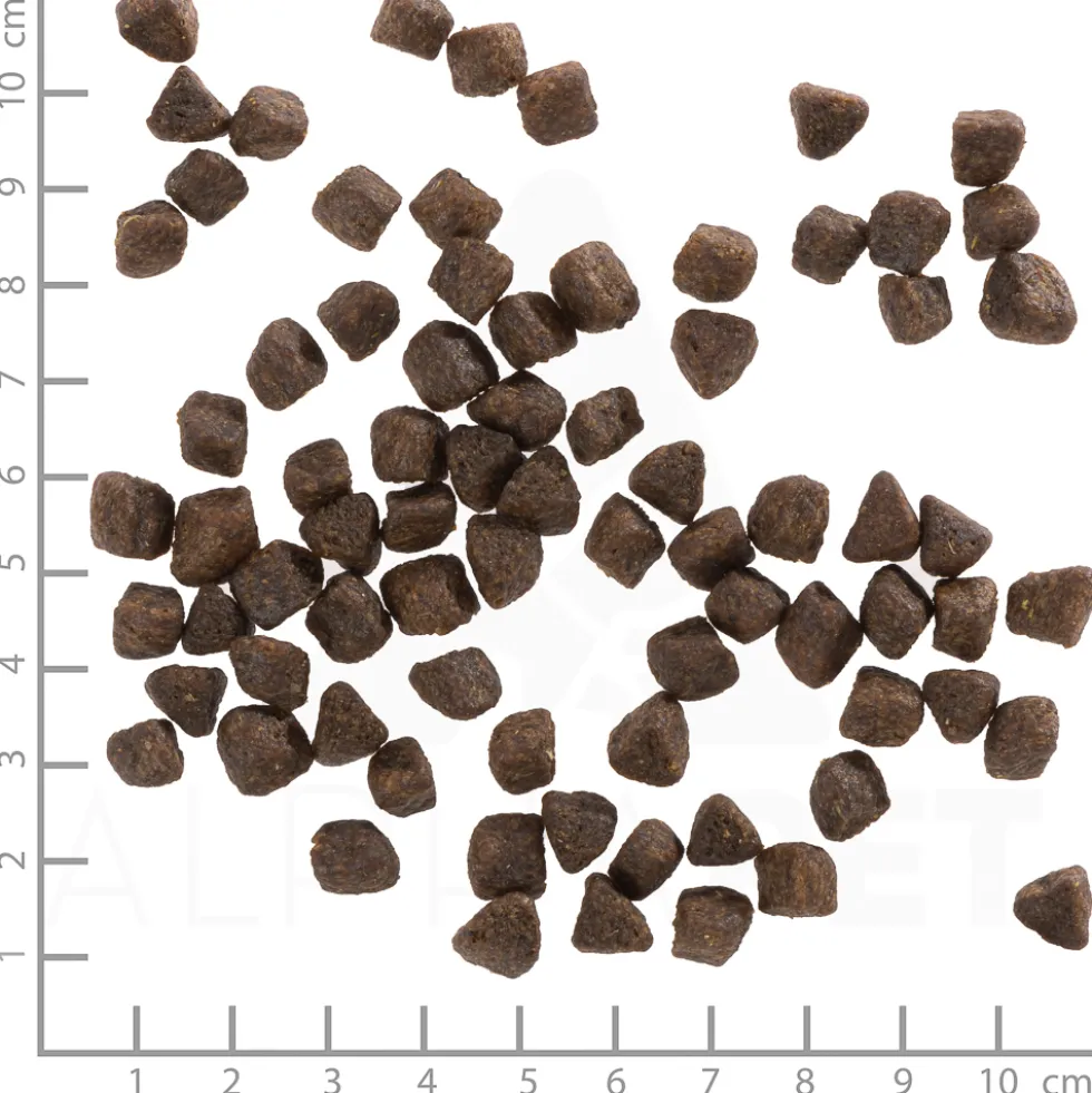 Wolfsblut Puppy Cold River Trockenfutter 12,5 kg