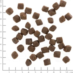 Wolfsblut Small Breed Black Bird Trockenfutter 7,5 kg