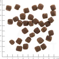 Wolfsblut Small Breed Wild Duck Trockenfutter 7,5 kg