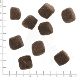 Wolfsblut Squashies Black Marsh Snack 300 g
