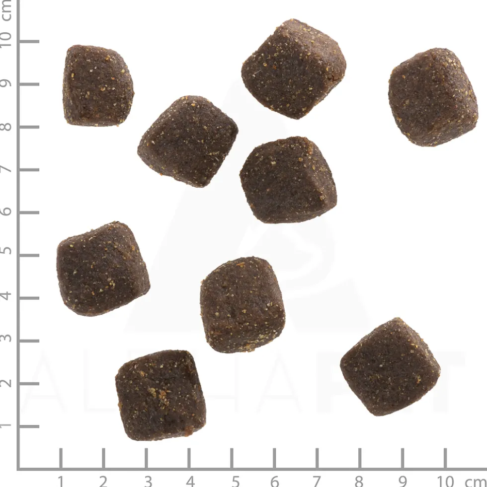 Wolfsblut Squashies Black Marsh Snack 300 g