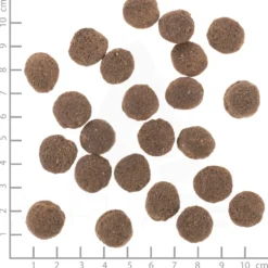 Wolfsblut VetLine Hypoallergenic Trockenfutter 12 kg