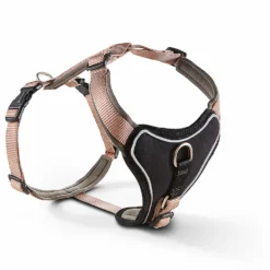 Wolters Geschirr champagner/trüffel Halsband & Geschirr 3 / 50 - 60 cm x 30 mm