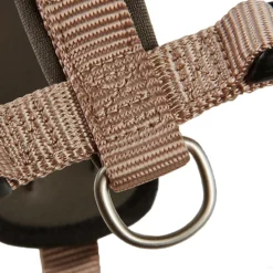 Wolters Geschirr champagner/trüffel Halsband & Geschirr 3 / 50 - 60 cm x 30 mm